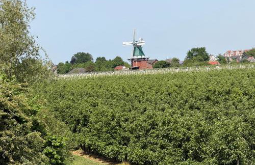 Muggelhuus das Loft mit Elbdeichblick im Alten Land und mit Wallbox - Foto 52