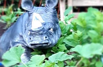 Abu-Ferienwohnung - Foto 12