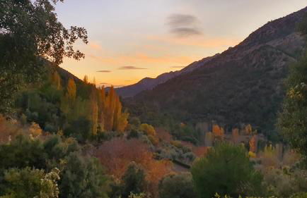 Saluda Alta - Foto 28