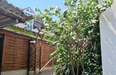 Wohnung mit Blick auf den Rheingrafenstein - Foto 9