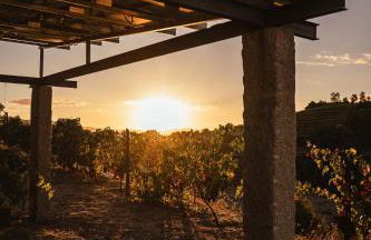 Quinta Vale das Papas - Foto 23