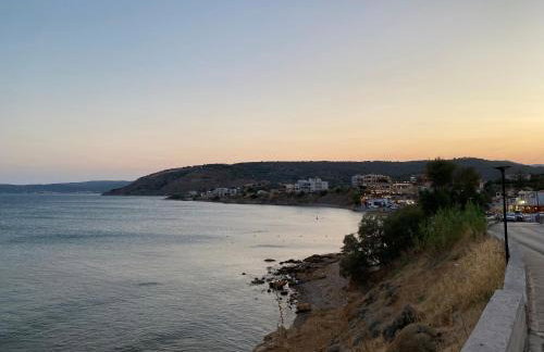 Terry Studio - Foto 50