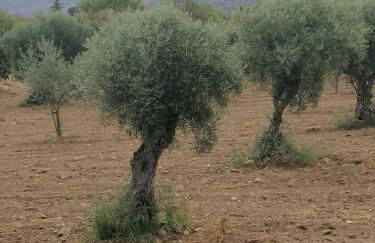 Nature House Lagos do Sabor - Foto 23