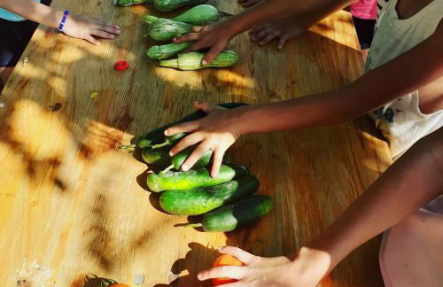 Agriturismo Campo Rosso - Foto 115