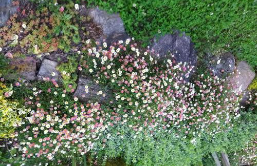 Ferienwohnung Zuckerberg - Photo 19