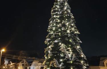 Ferienwohnung Ankerplatz - Foto 59
