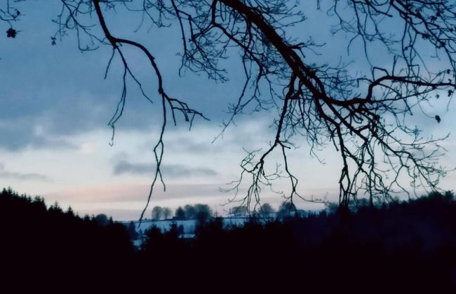 Ferienwohnung in Willingen mit Terrasse - Photo 16