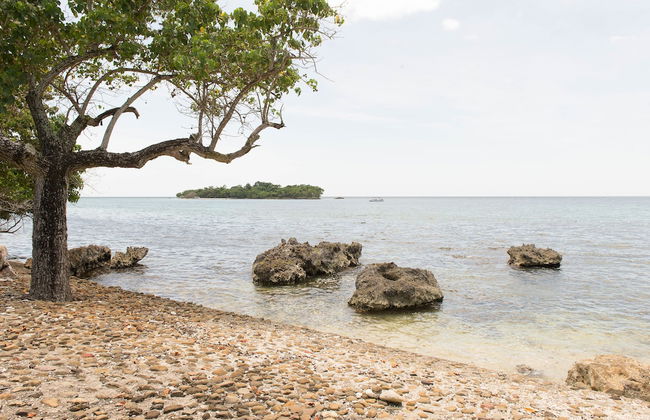 Crawfish Beach Suite - Photo 16