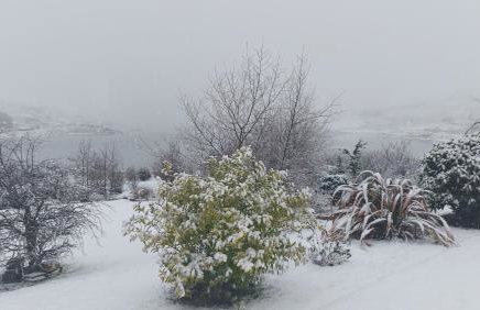 The Causeway - Photo 52