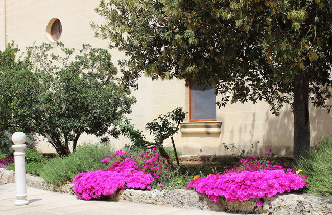 Masseria Pagani - Photo 67