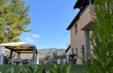 Azienda Agrituristica Il Moraiolo - Foto 3