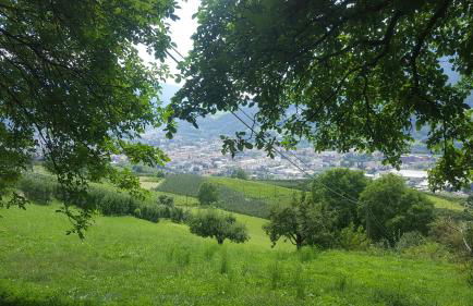 Kienasthof - Foto 23