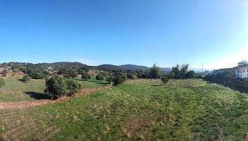 El Corralon de Severo - Foto 2