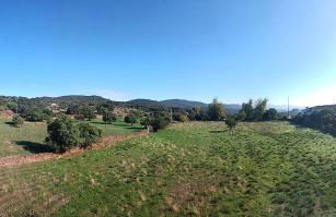 El Corralon de Severo - Foto 2