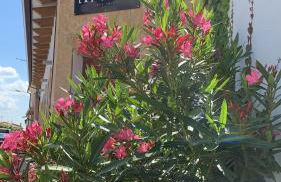 Las Gavias - Foto 35