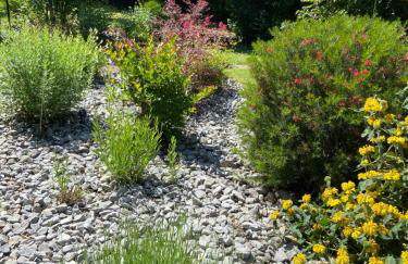 Gîte de charme Jas de Berrias Ardèche du Sud Piscine - Photo 16