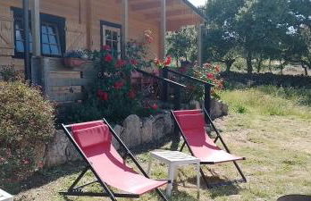 Eco Lodge nella natura Con Piscina privata "La Grande Quercia" - Foto 8