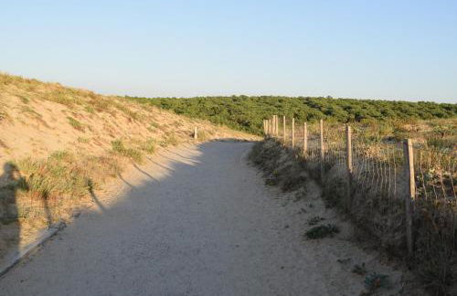 Evasion Côtière Tranquillité entre Forêt et Océan - Foto 15