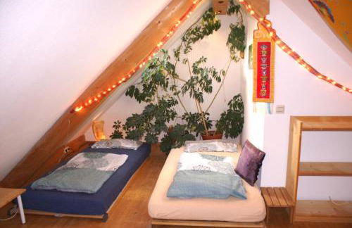 ruhiges Wohnen am Lama und Maine Coon Hof in Alleinlage in Biederbach 3 Zimmer mit Kochgelegenheit Bad - Foto 11