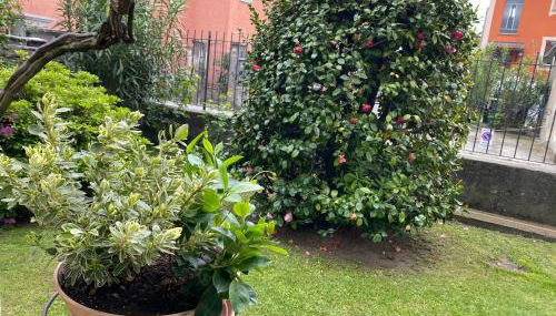 Verdelago - Foto 5, Garden view