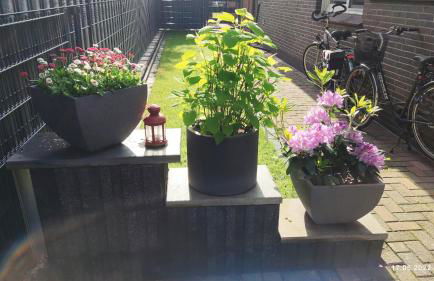 EG Einzel-Apartment - 24h Check In - Photo 7