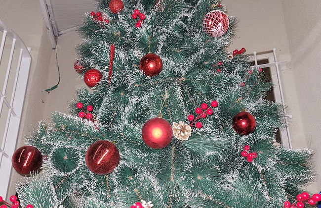 Maya Guest House-GermanColony&BahaiGardn - Foto 60