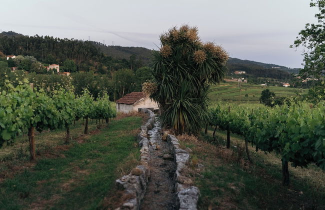 Quinta da Corredoura Hotel Rural - Photo 75