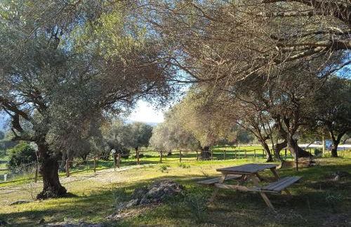 Vistamare - Photo 35