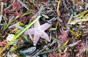 Ferienwohnung 258 Haus Schleswig - Foto 30