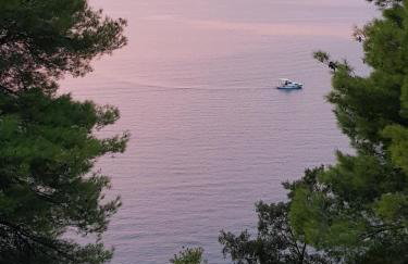 Luxury apartment Korcula - Villa Sunny Days - Foto 35