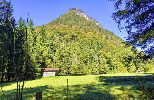 Bergchalet Falkenstein, Inzell - Foto 67