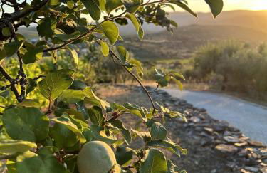 Quinta Alto da Fraga - Foto 16