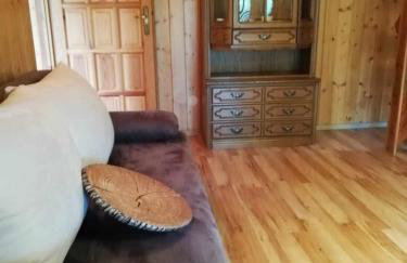 Domek letniskowy Pod brzozami Pszczew - Foto 18