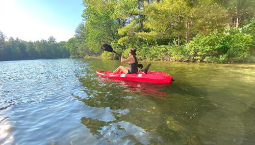 The Blue Lotus - Foto 4