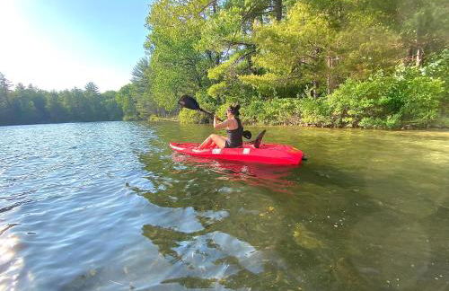 The Blue Lotus - Foto 4