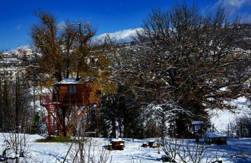 Casa sull'albero Bocchineri - Photo 43