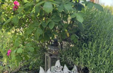 Luxus Studio 10 Min zur Porta Nigra inkl Parkplatz - Foto 51