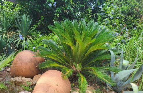 UN OASIS EN PROVENCE - Foto 30