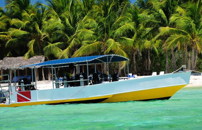 Saona Island - Full-Day Tour with Hotel Pick-Up - Foto 1