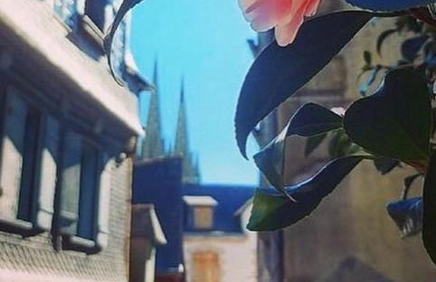 Au COCON QUIMPEROIS - Foto 1