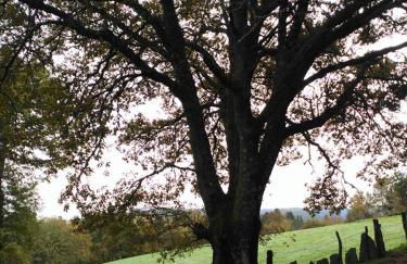 Apartamentos Casa de Riba - Foto 26