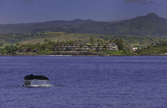 Whalers Cove Oceanfront Resort - Photo 37