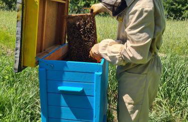 U Judyty na Ponidziu Gospodarstwo Agroturystyczne - Foto 6