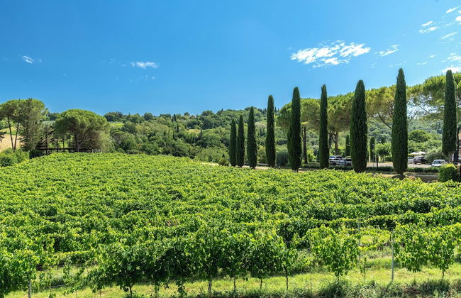 Tenuta Sovestro - Agriturismo e Winery - Foto 49