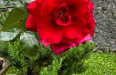 2-bedroom apartment ILLARIO - heart of Tuscany - airco & free parking - Foto 44