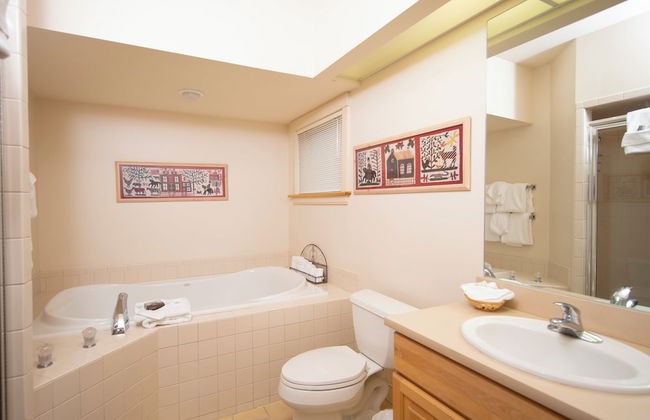 Solitude Village at Okemo by Vail Resorts - Foto 70