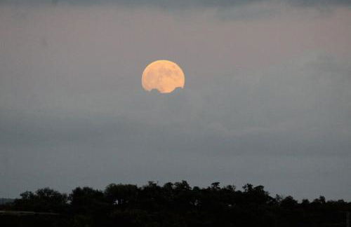 La casa de la encina - Foto 32