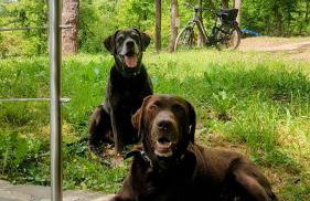 Ferienhaus Löwenherz - Foto 65