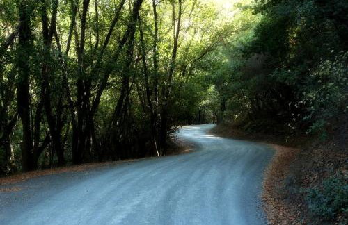 Chic Woodland Yurt Rental on a Wellness Ranch in Southern California - Foto 21