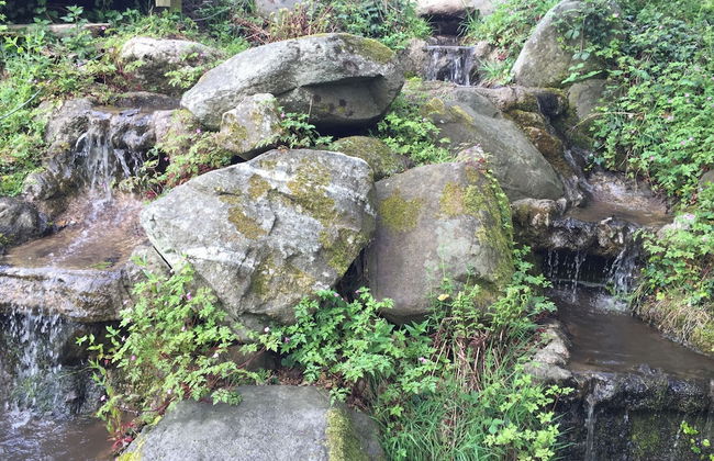 Large Sound Healing Retreat Cottage in West Wales - Foto 17